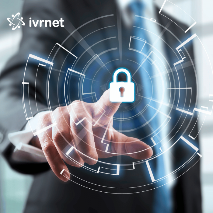 ivrnet Linked In 5